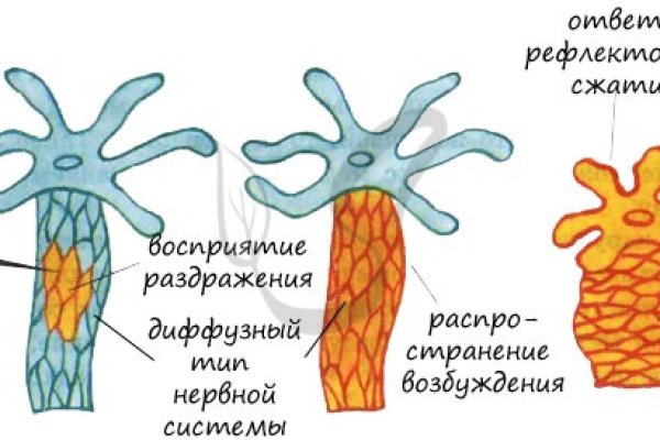 Kraken взлом