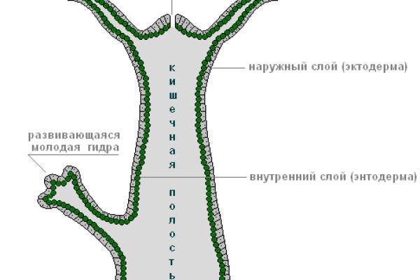 Кракен ссылка стор